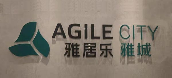 雅居乐房产公司