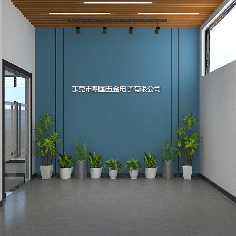 东莞市朝国五金电子有限公司装饰